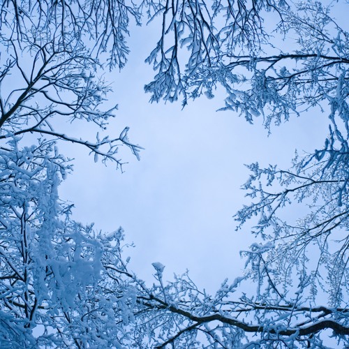 Snow (ReDominator Synth Song Challenge)