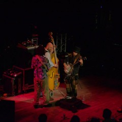 The Great Squirrel Stampede 1