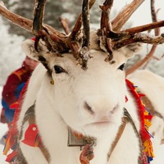 Sound Effex - Frosty Lake