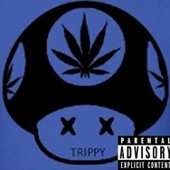 Trippy Niggy Ft. Liu Kang