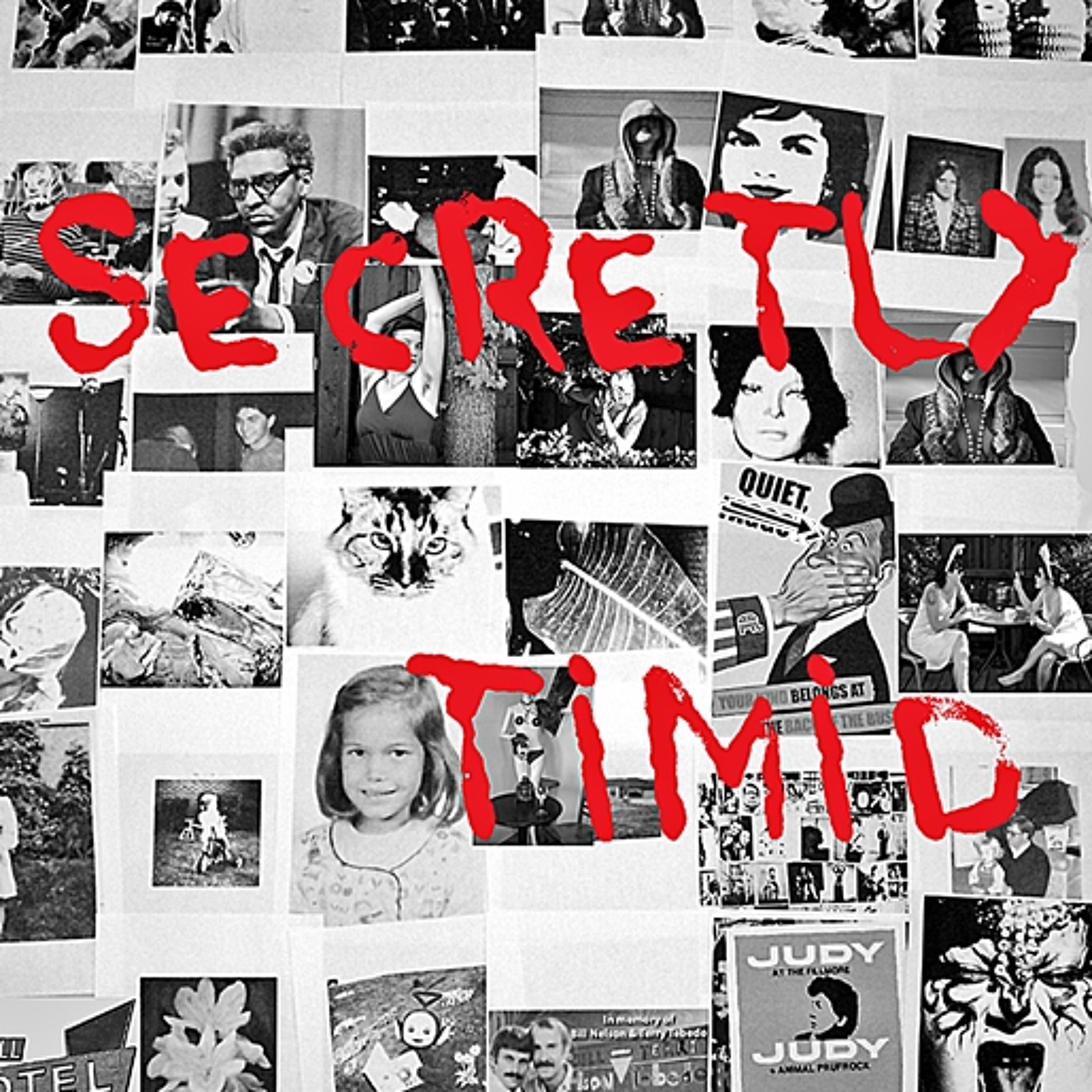 SecretlyTimid