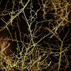 Questions Of Judgement