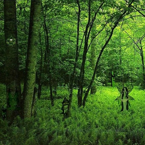 psychedelic forest