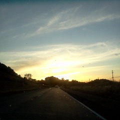 Zotopia Mix with various artists