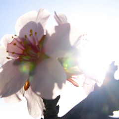 Beauvais - FINAL - Doucement