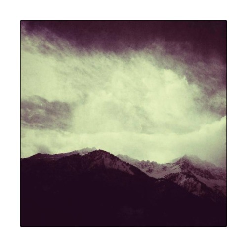 The Lone Roamer - Vague Memories From The Ancient Tape [#SE001, A1]