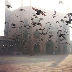 فإذا العَذولُ رَأى جَمالَكِ قالَ لِي -حُسَام شعبان