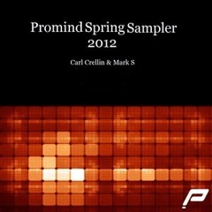 Carl Crellin & Mark S - New Horizon (Original Mix)
