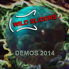 Wild Sliders - Rock Brothers