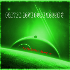 Pluton Love Pure House 3