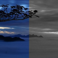 Trilapse – Monochroming (Reinksta Remix)