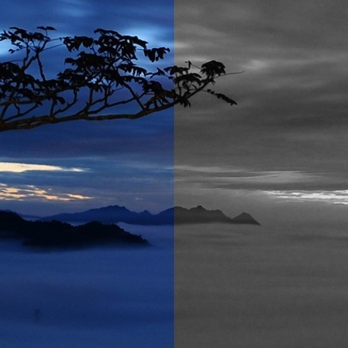 Trilapse – Monochroming (Reinksta Remix)