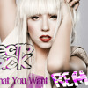 Do What You Want - Lady Gaga(Electro-JackRemix)