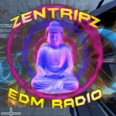 Live on 88.5FM Zentripz Radio DJ EXZILE IN THE MIX!