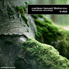 Carbon Based Lifeforms - Irdial (Xtal Drumkit)