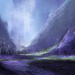 Echoes of the Forest