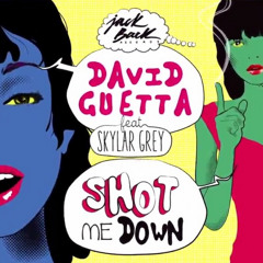 She Shot Me Down Feat. Skylar Grey (Extended)[Jack Back]
