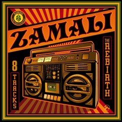 Zamali - Funky Rotator (Mister T. Remix)