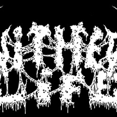 Wither Life- The eternal struggle( no vocals yet).