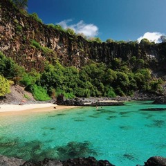 Beach Dreams ( working )