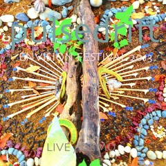 Pulsedrift Live Envision 2013 (DemoExcerpt)