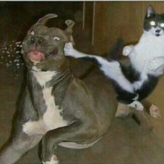 Harder (Bro, Do You Even Compress)