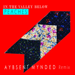 In The Valley Below - Peaches (Aybsent Mynded Remix)
