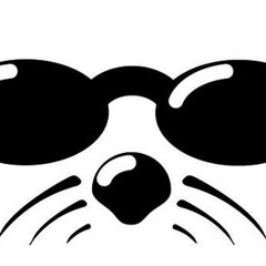 Shmoocon Party SecBarbie 2014