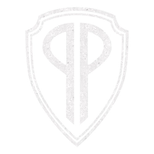 Perfect Pussy // Interference Fits