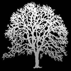 Sebastian & Nadja - Obbe