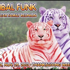 Donald Glaude live @ Tribal Funk Nov 20yr Family Reunion introducing  LNS