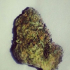 *BEAT WITH HOOK* Purple Haze (Prod. By Fugitive Beatz).mp3