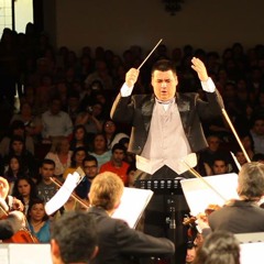 Orquesta Filarmonica de la Antena OFA Danubio Azul