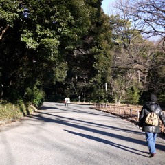 02-A walk in the Meiji Shrine park