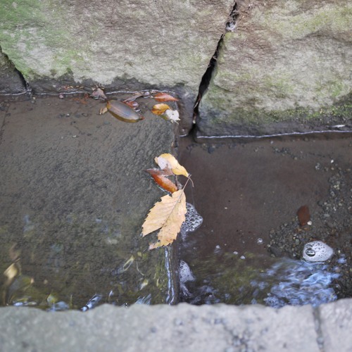 05-Some running water near Meji Shrine