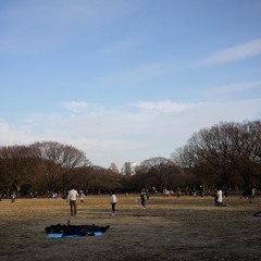 12-Walking in Yoyogi park
