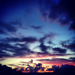 Panos - Aerials (SOAD Acoustic Cover)