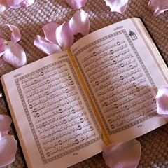 الروح ❤