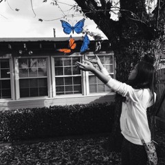 Let Me See Beneath Your Beautiful-short Cover