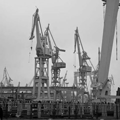 Finally the crane sings like whale