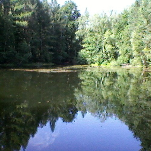 Bitfall 64 (An 8bit Adventure)