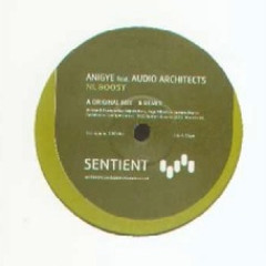 Envotion - NL Boost Original (2004)