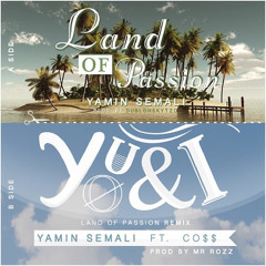 You & I (Land of Passion Remix) feat. Co$$