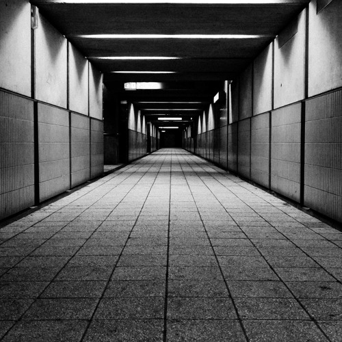 David Meiser - Walking Through