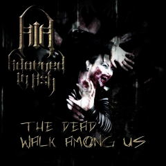 Human Torch (ALBUM Version)