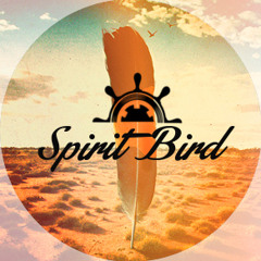 Spirit Bird - Xavier Rudd (Telo Remix)