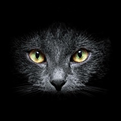 Betoko - Dance On My Feet (Original Mix)