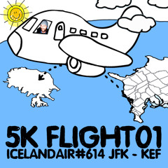 Sander Kleinenberg - FLIGHT FI614 (DJMIX)