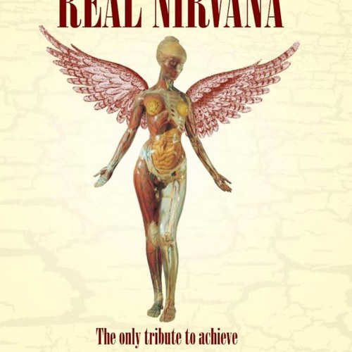 Real Nirvana 'Pennyroyal Tea' Acoustic