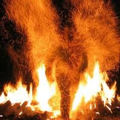 Roty340 - SPLENDIDRED //  RAW SCORE